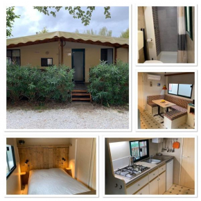 Mobile home Comfort Viareggio - Camping Paradiso- R028
